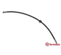 Flessibile del freno interno per NISSAN OPEL RENAULT VAUXHALL INTERSTAR MASTER M