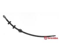 Flessibile del freno Sx per ALFA ROMEO FIAT LANCIA BRAVO DELTA SPIDER STILO