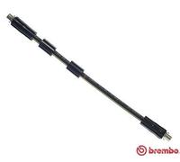 Flessibile del freno Sx per AUDI VW A8 PASSAT