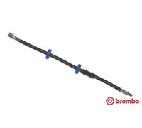 Flessibile del freno Sx per FIAT LANCIA PANDA Y10