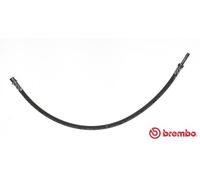 Brembo T 50 056 - Tubo Freno - Anteriore