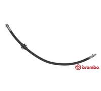 Flessibile del freno Sx per RENAULT CLIO MODUS / GRAND MODUS