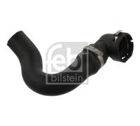 Flessibile radiatore Dx in basso per FIAT PANDA