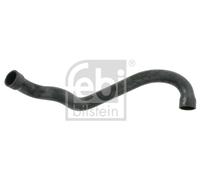 Flessibile radiatore Dx in basso per MERCEDES-BENZ