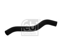 Flessibile Radiatore Febi Bilstein 38589 per Fiat