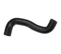 Gates Flessibile radiatore 05-2502 – Superiore in EPDM