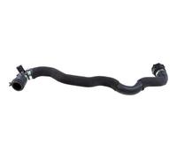 Flessibile Radiatore Gates 05-2692 per Mini Superiore