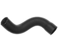 Tubo flessibile del radiatore GATES 05-3013