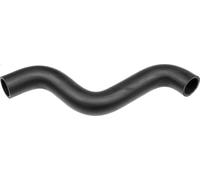 Flessibile radiatore GATES 3757 per FORD ESCORT V (AAL, ABL) 1.4 1990-1995