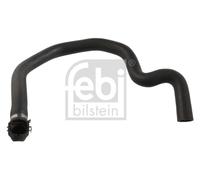 Flessibile radiatore Sx in basso per FIAT STILO