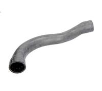 Flessibile radiatore THERMOTEC DWB080TT per BMW 7 (E38) 4.4 1996-2001