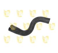 Per Fiat Punto (2008) Evo Versione 1.4 Manicotto Tubo Radiatore Inferiore