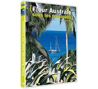 Fleur australe sous les tropiques