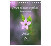 Fleurs en toute simplicité - Beauté minimaliste (Calendrier de bureau 2026 DIN A5 horizontal), CALVENDO calendrier mensuel: Un calendrier délicat et ... pour douze mois de beauté minimaliste.