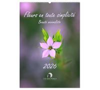 Fleurs en toute simplicité - Beauté minimaliste (Calendrier mural 2026 DIN A2 horizontal), CALVENDO calendrier mensuel: Un calendrier délicat et ... pour douze mois de beauté minimaliste.