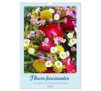 Fleurs fascinantes aux couleurs vives (Calendrier mural 2026 DIN A4 horizontal), CALVENDO calendrier mensuel: Un beau et rayonnant plaisir pour les yeux