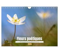 Fleurs poétiques (Calendrier mural 2026 DIN A4 vertical), CALVENDO calendrier mensuel: Photographies macro de petites fleurs en beauté