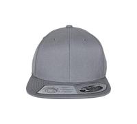 Flexfit 110 Fitted Snapback, Farbe Grey