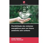 Flexibilidade dos sistemas energéticos para um futuro ambiente sem carbono