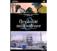 Flexibilité et multivalence. Le cas de l'usine Prayon
