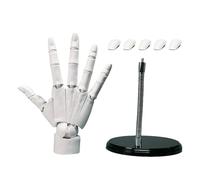 Flexible Hand Model - Anatomical Hand for Drawing Art | Adjustable Joints with Bendable Fingers, Detailed Palm and Knuckle Structure for Artists, Students, and Medical Demonstrations