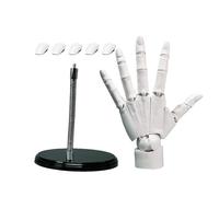 Flexible Hand Model, Moveable Hand Manikin, Artists Hand Figure, Drawing Manikin Hand, Painting Hand Model, Art Reference Hand, Adjustable Hand Model, Art Manikin for Sketching