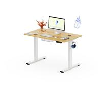 FLEXISPOT 100x60 cm Scrivania Regolabile in Altezza con Ganci e Gestione Cavi, Scrivania Elettrica con Pannello Unico e Controller Intelligente, Standing Desk Motorizzata Scrivania