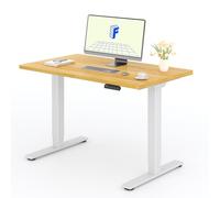 FLEXISPOT 120x60 cm Scrivania Regolabile in Altezza con Doppio Motore, Piano Unico e Pannello di Controllo con Funzione Memoria, Standing Desk Scrivania Elettrica Motorizzata Scrivania