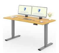 FLEXISPOT 160x80 cm Scrivania Regolabile in Altezza con Doppio Motore, Piano Unico e Pannello di Controllo con Funzione Memoria, Standing Desk Scrivania Elettrica Motorizzata Scrivania