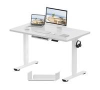 FLEXISPOT EF1-SET 120 * 60Cm Scrivania Regolabile in Altezza Scrivania Elettrica Scrivania Motorizzata Standing Desk,Pannello di Controllo con Memoria a 2 Livelli (Telaio Bianco+Piano Bianco)