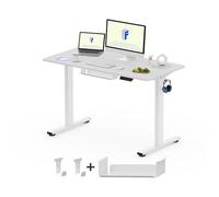 FLEXISPOT Essential, scrivania elettrica regolabile in altezza, per stare in piedi e seduti, (120 x 60 cm, telaio bianco, scrivania bianca)