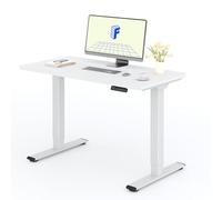 FLEXISPOT Scrivania Elettrica Regolabile in Altezza a 2 Motori 120x60 cm con Piano Unico, Pannello con Memoria, Portata 100 kg