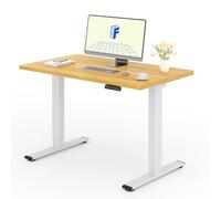 FLEXISPOT Scrivania Elettrica Regolabile in Altezza a 2 Motori 120x60 cm con Piano Unico, Pannello con Memoria, Portata 100 kg