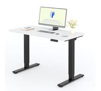 FLEXISPOT Scrivania Elettrica Regolabile in Altezza a 2 Motori 120x60 cm con Piano Unico, Pannello con Memoria, Portata 100 kg
