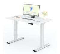 FLEXISPOT Scrivania Elettrica Regolabile in Altezza a 2 Motori 120x80 cm con Piano Unico, Pannello con Memoria, Portata 100 kg