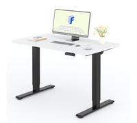 FLEXISPOT Scrivania Elettrica Regolabile in Altezza a 2 Motori 120x80 cm con Piano Unico, Pannello con Memoria, Portata 100 kg