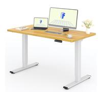 FLEXISPOT Scrivania Elettrica Regolabile in Altezza a 2 Motori 120x80 cm con Piano Unico, Pannello con Memoria, Portata 100 kg