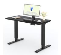 FLEXISPOT Scrivania Elettrica Regolabile in Altezza a 2 Motori 120x80 cm con Piano Unico, Pannello con Memoria, Portata 100 kg