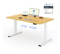 FLEXISPOT Scrivania Elettrica Regolabile in Altezza a 2 Motori 140x80 cm con Piano Unico, Pannello con Memoria, Portata 100 kg