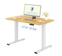 FLEXISPOT Scrivania Regolabile in Altezza 120x60 cm, 2 Motori, Piano Unico 25 mm, Memoria & Display Altezza, Ergonomica con Gestione Cavi, Ripiano Sottoscrivania, Ganci e Clip Fermacavi