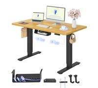 FLEXISPOT Scrivania Regolabile in Altezza 120x60 cm, 2 Motori, Piano Unico 25 mm, Memoria & Display Altezza, Ergonomica con Gestione Cavi, Ripiano Sottoscrivania, Ganci e Clip Fermacavi