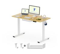 FLEXISPOT Scrivania Regolabile in Altezza 120x60 cm, Standing Desk Motorizzata con Pannello Unico e Controller Intelligente, Scrivania Elettrica con Ganci e Gestione Cavi