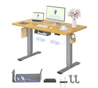 FLEXISPOT Scrivania Regolabile in Altezza 120x80 cm, 2 Motori, Piano Unico 25 mm, Memoria & Display Altezza, Ergonomica con Gestione Cavi, Ripiano Sottoscrivania, Ganci e Clip Fermacavi