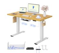 FLEXISPOT Scrivania Regolabile in Altezza 120x80 cm, 2 Motori, Piano Unico 25 mm, Memoria & Display Altezza, Ergonomica con Gestione Cavi, Ripiano Sottoscrivania, Ganci e Clip Fermacavi