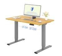 FLEXISPOT Scrivania Regolabile in Altezza 120x80 cm con Piano Intero, 2 Motori, 4 Opzioni di Memoria Intelligente, ideale per Ufficio e Casa, Tavolo Elevabile in Acero+Grigio.