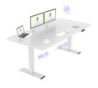 FLEXISPOT Scrivania Sollevabile Elettrica Regolabile in Altezza 160x70 cm Con 2 Motori Potenti, Tavolo Stabile Con Funzione di Memoria (Bianco+Bianco)