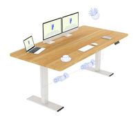 FLEXISPOT Scrivania Sollevabile Elettrica Regolabile in Altezza 160x70 cm Con 2 Motori Potenti, Tavolo Stabile Con Funzione di Memoria (Bianco+Acero)