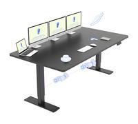 FLEXISPOT Scrivania Sollevabile Elettrica Regolabile in Altezza 200x80 cm Con 2 Motori Potenti, Tavolo Stabile Con Funzione di Memoria (Nero+Nero)