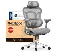 FLEXISPOT Sedia Ergonomica da Ufficio Gaming ErgoX Max, Poggiatesta 4D, Braccioli 5D, Schienale e Supporto Lombare Integrati, Portata 300 kg, Grigio