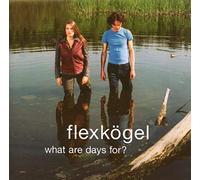 FLEXKOEGEL - WHAT AREDAYS FOR?